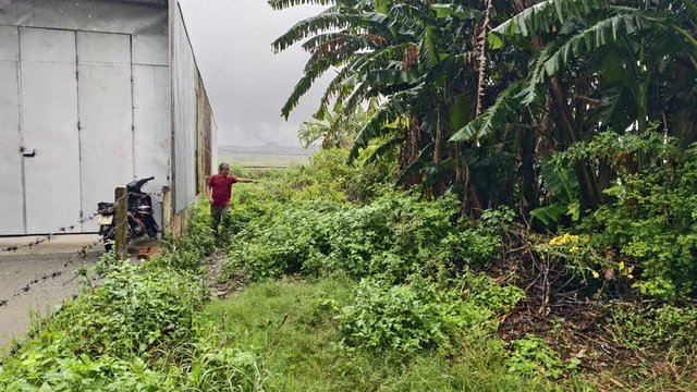 Trúng đấu giá đất ảo ở Quảng Ngãi: công an phát hiện nhiều bất thường