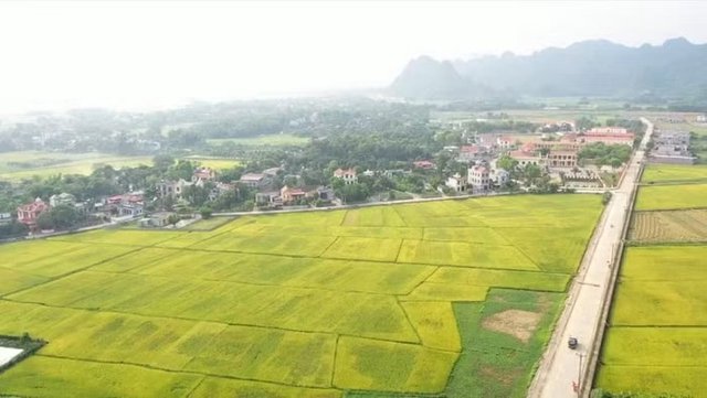Hạn mức sử dụng đất nông nghiệp theo Luật Đất đai 2024