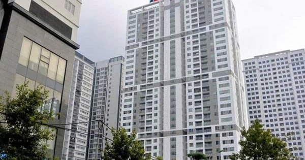 Taseco Land chốt ngày trả cổ tức 2025, phát hành cổ phiếu thưởng