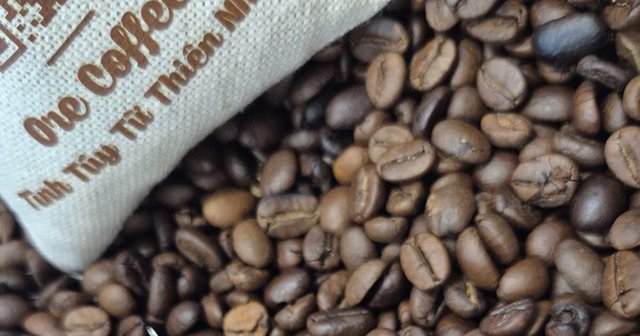 Giá cà phê hôm nay 23-5: Robusta tiếp tục tăng, trong nước vượt 86.700 đồng/kg?