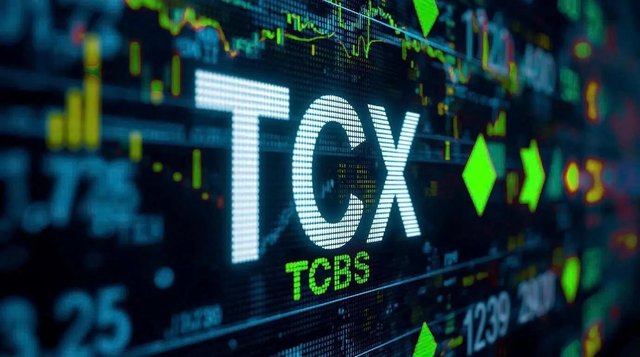Nhận diện công ty mới 800 tỷ của TCBS