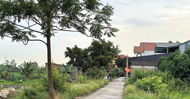 Chuyển đất lên thổ cư: Có phải cứ đủ sổ đỏ là được?