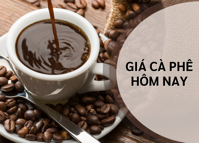 Giá cà phê hôm nay 21/6: Robusta, Arabica giảm mạnh; Tây Nguyên quay đầu giảm 