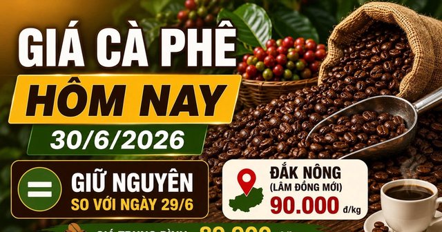 Giá cà phê hôm nay 30/6: Mốc 90.000 đồng/kg vẫn được giữ