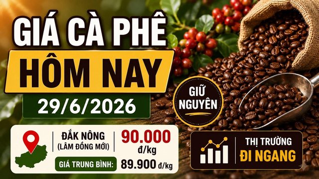 Chốt giá cà phê hôm nay 29/6: Tây Nguyên tiến sát mốc 90.000 đồng/kg