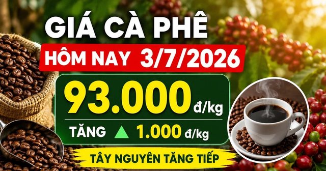 Chốt giá cà phê hôm nay 3/7: Tăng rất mạnh lên 93.000 đồng/kg
