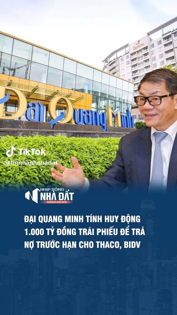 Đại Quang Minh tính huy động 1.000 tỷ trái phiếu để trả nợ cho Thaco, BIDV