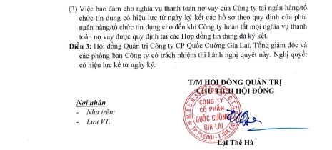 Đáng chú ý! Bà Nguyễn Thị Như Loan trở lại "ghế nóng, Quốc Cường Gia Lai lập tức muốn vay 1.500 tỷ
